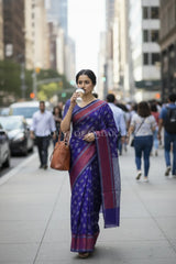 mulmul cotton patola saree 0437 outdoor pose