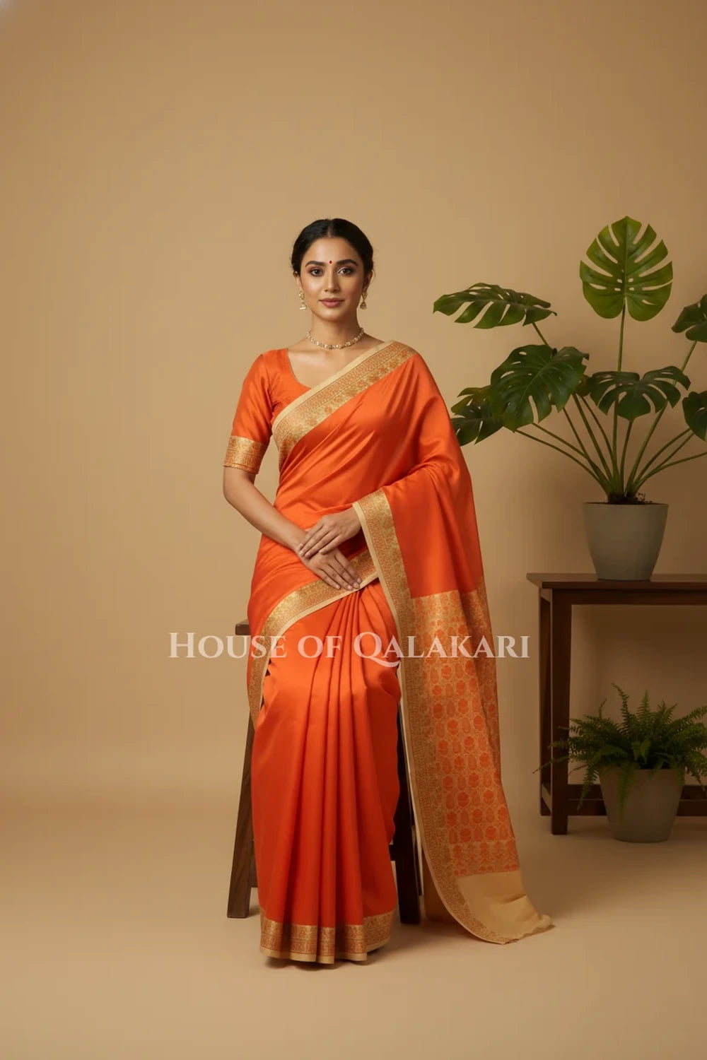 Silk Saree sitting pose