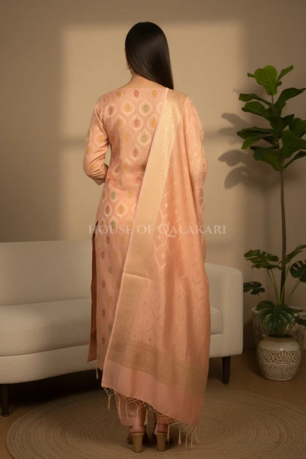 chanderi cotton dress material back pose