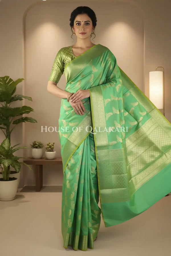 Silk Saree front pose