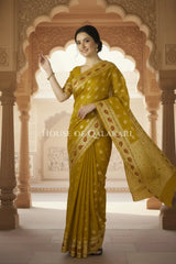 Khaddi Georget Silk Saree Festive Pose