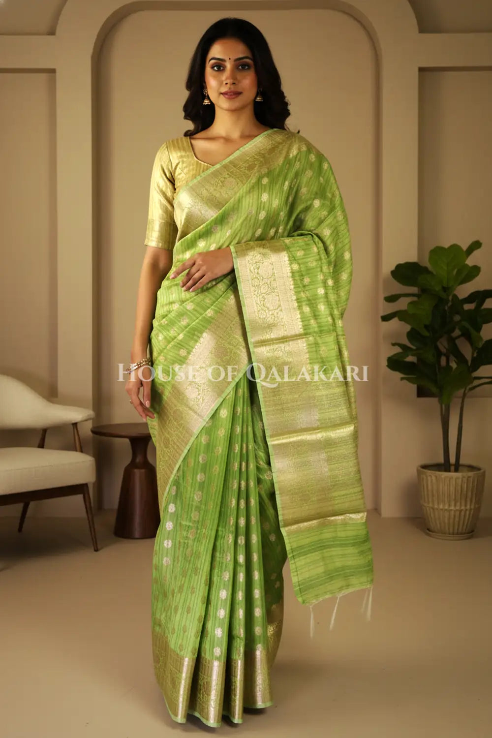 cotton saree front pose