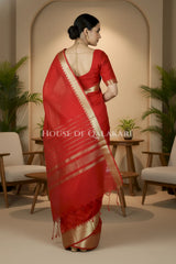 cotton saree 0337 back pose