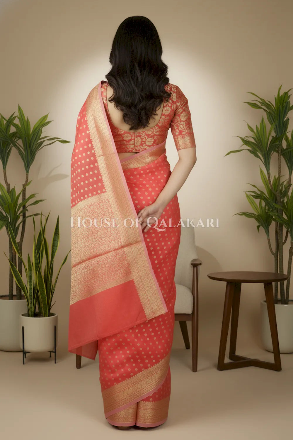 cotton saree 0356 back pose