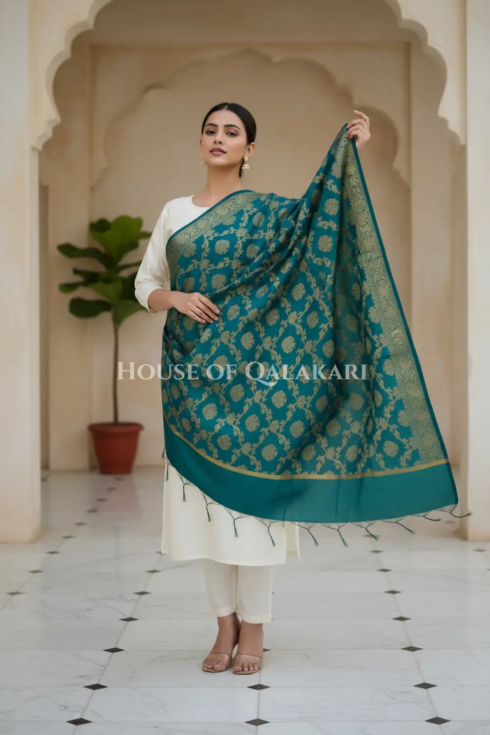 silk dupatta 0249 dramatic pose