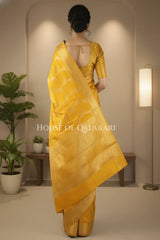 Silk Saree back pose