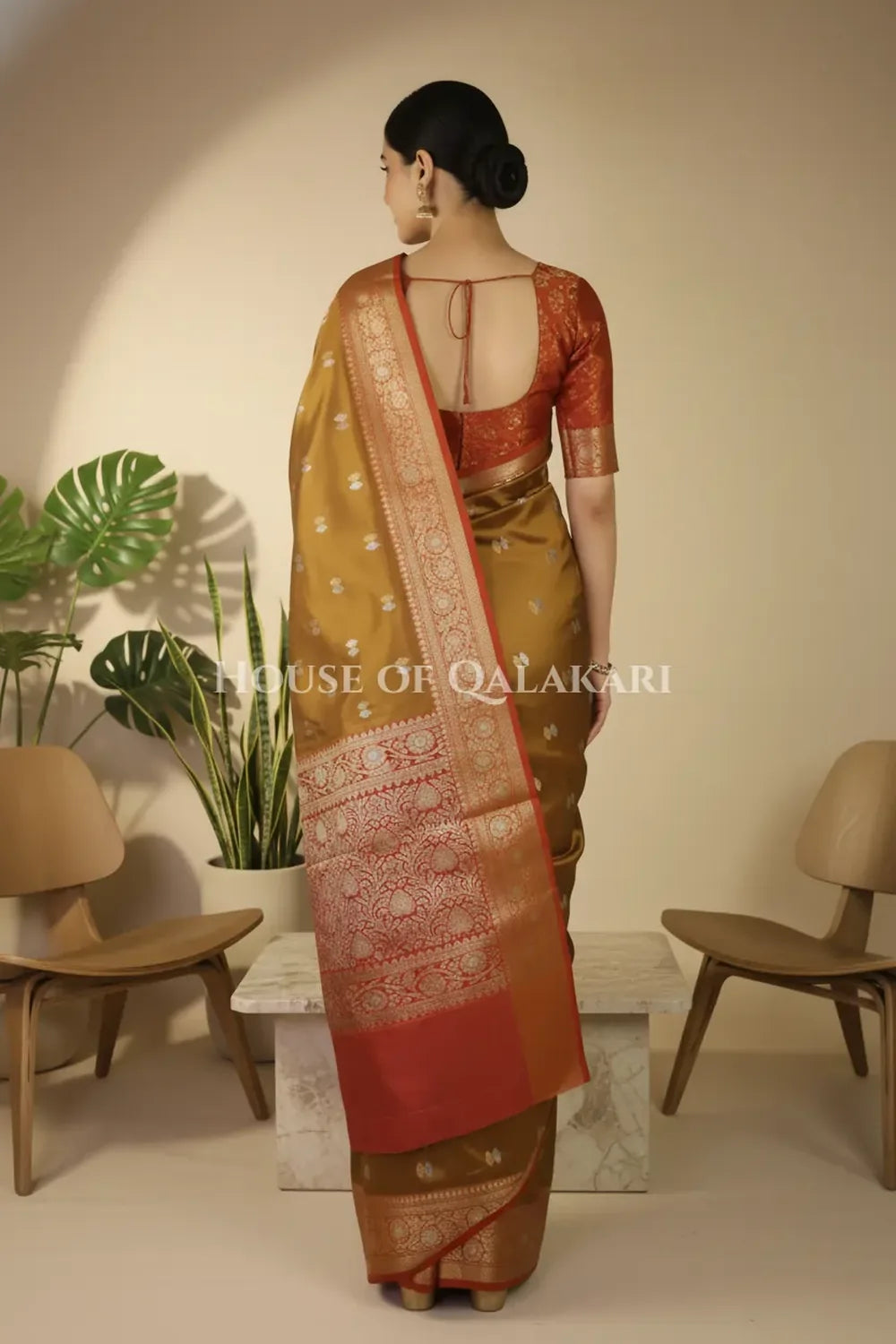 Silk Saree back pose