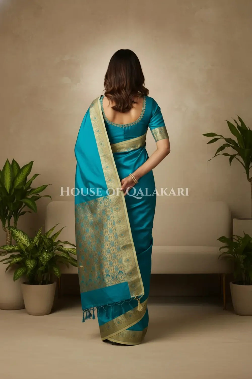Silk Saree back pose
