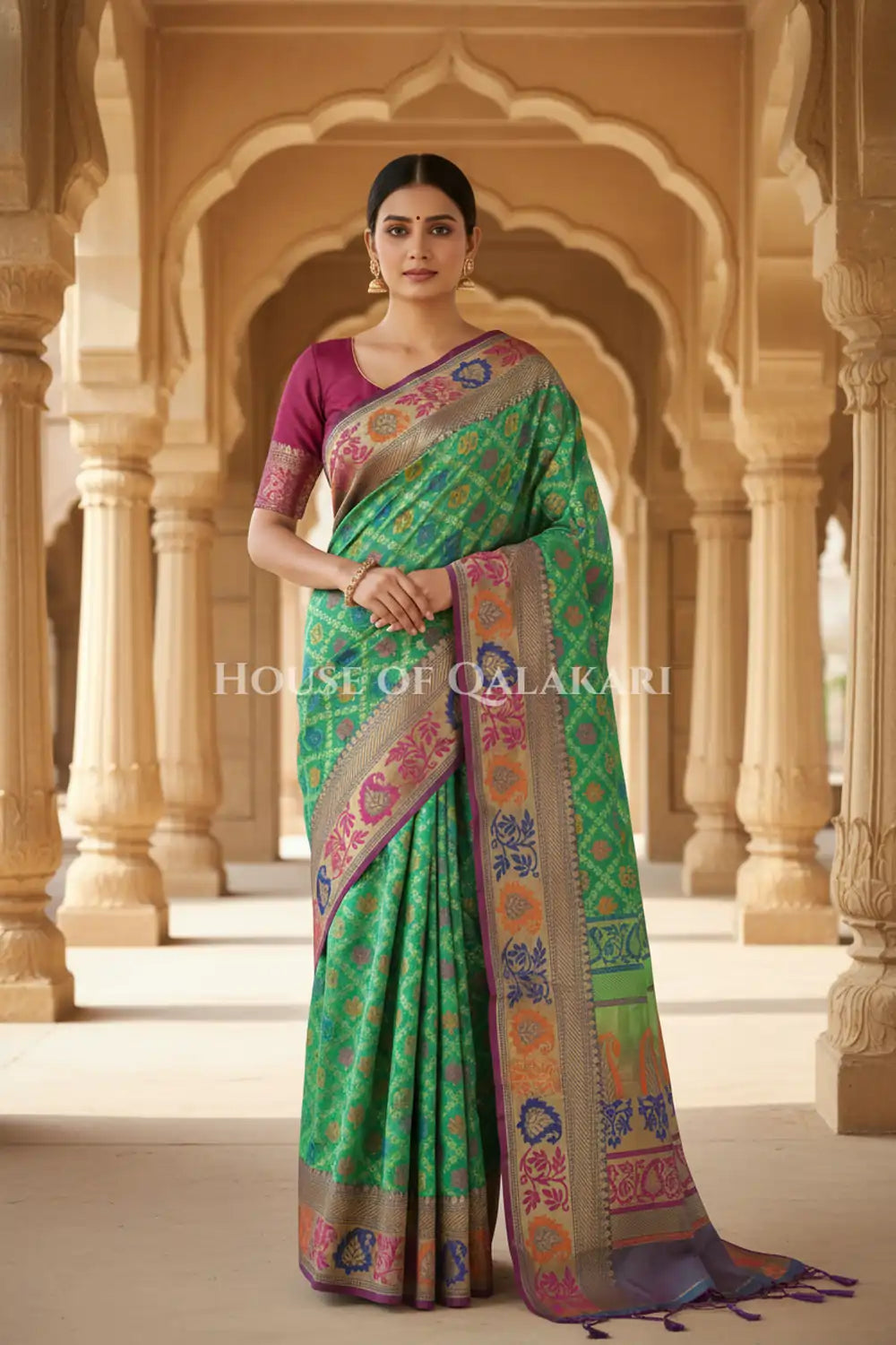 georget silk saree front pose