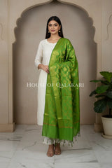 silk dupatta 0231 front pose2